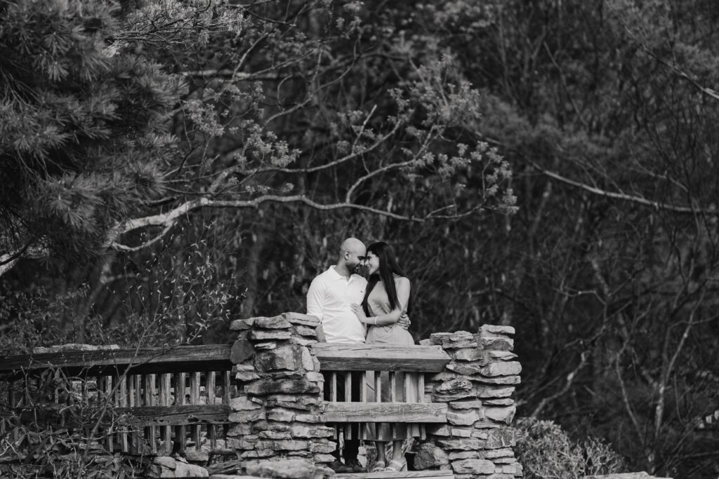 Cooper's Rock engagement in West Virginia overlook